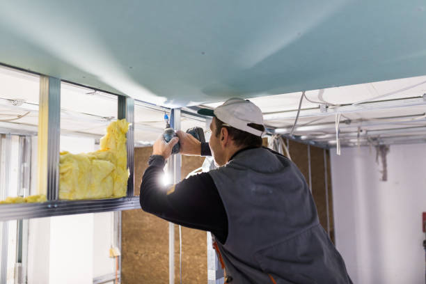 Types of Insulation We Offer in TX